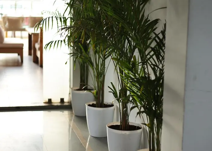 Hotel Dreamy Boutique 5*